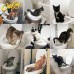 Туалет для кошек Citi Kitty