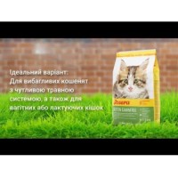 Сухой корм для кошек Josera Kitten grainfree 10 кг беззерновой для котят и беременных кошек