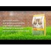 Сухой корм для кошек Josera Kitten grainfree 10 кг беззерновой для котят и беременных кошек Сухой корм для кошек Josera Kitten grainfree 10 кг беззерновой для котят и беременных кошек
